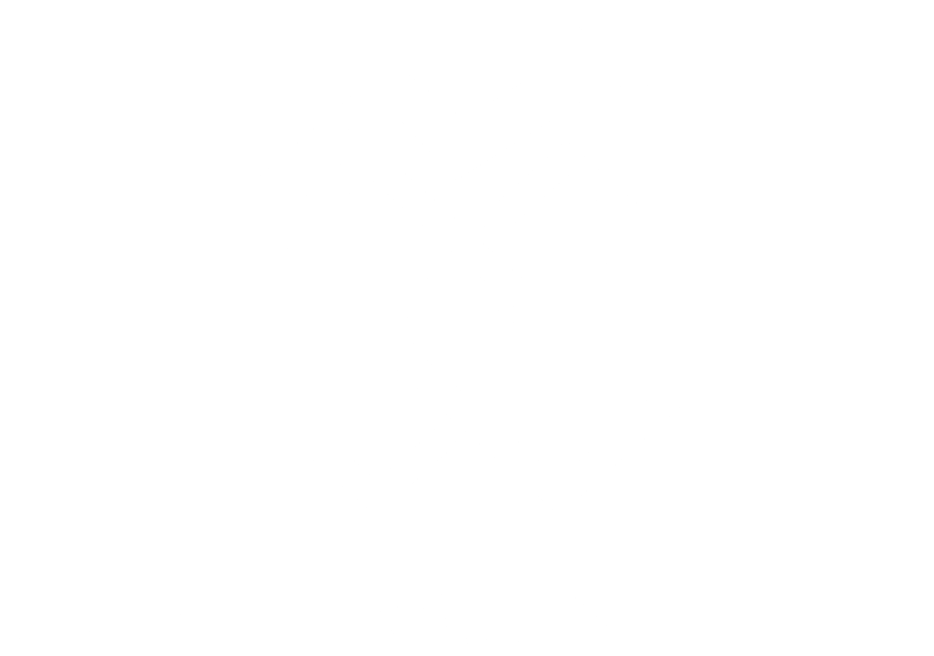 RealMentor